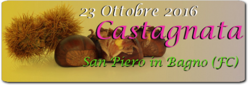 logo_castagnata logo_castagnata